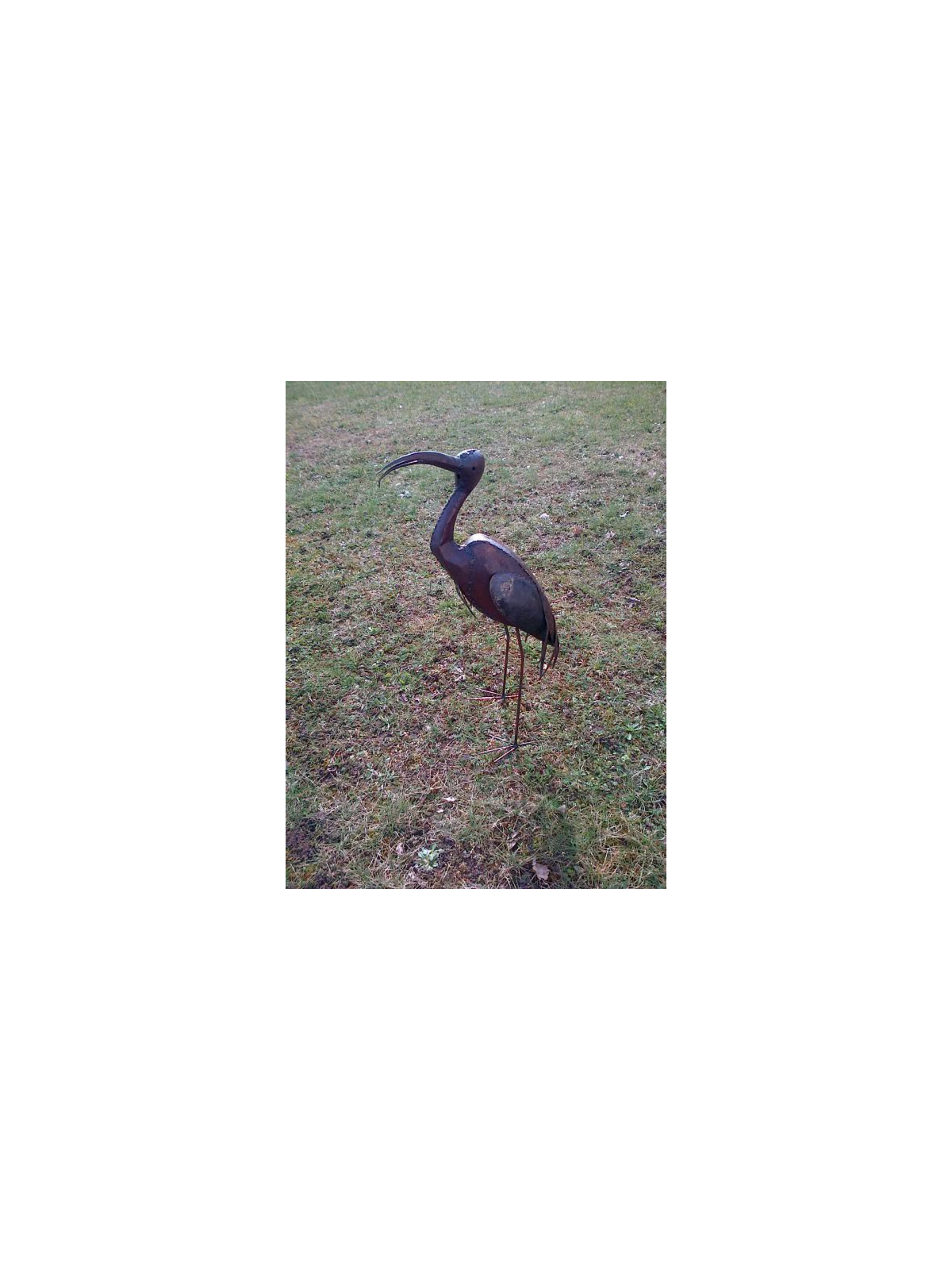 Ibis en métal