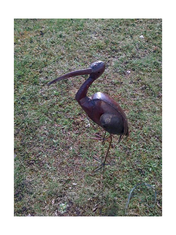 Ibis en métal