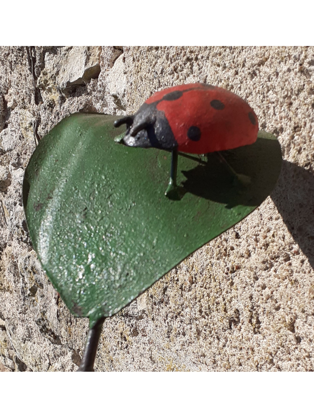 Tuteur  coccinelle sur feuille