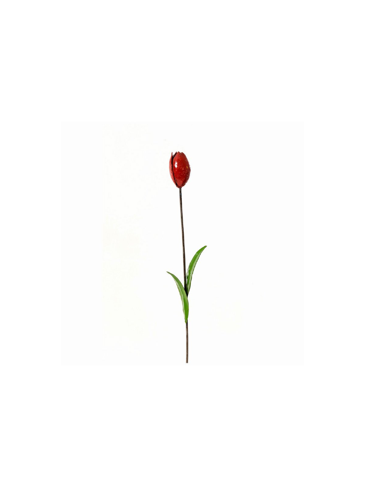 Tulipe rouge