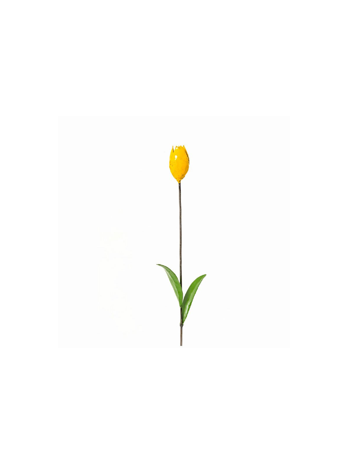 Tulipe jaune