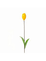 Tulipe jaune