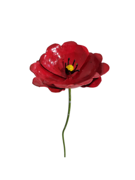 Coquelicot