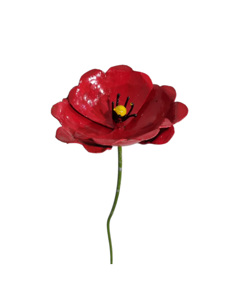 Coquelicot