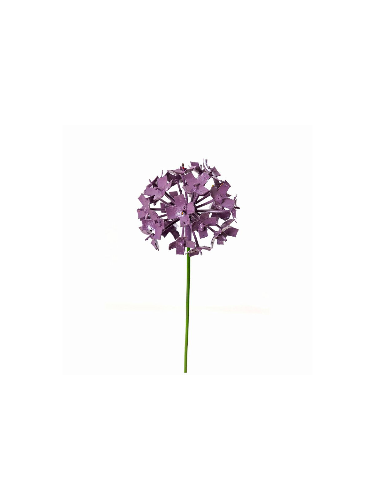 Fleur d'allium violet